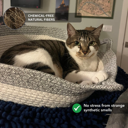 Instinct Basket | Meet the first research-backed natural territory for indoor cats