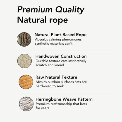 Instinct Basket | Meet the first research-backed natural territory for indoor cats