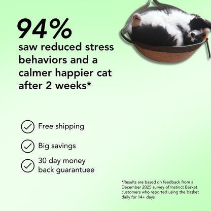 Instinct Basket | Meet the first research-backed natural territory for indoor cats