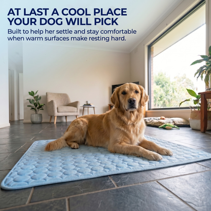 Protect Your Dog From Overheating And Dangerous Heat Stress With Doleva Cooling Mat