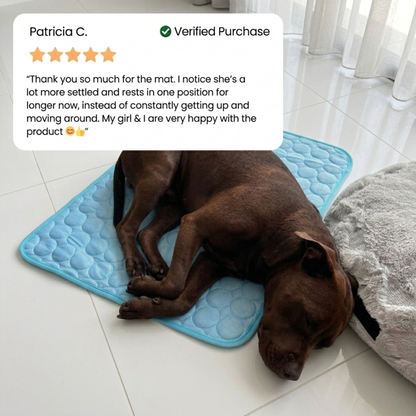 Protect Your Dog From Overheating And Dangerous Heat Stress With Doleva Cooling Mat