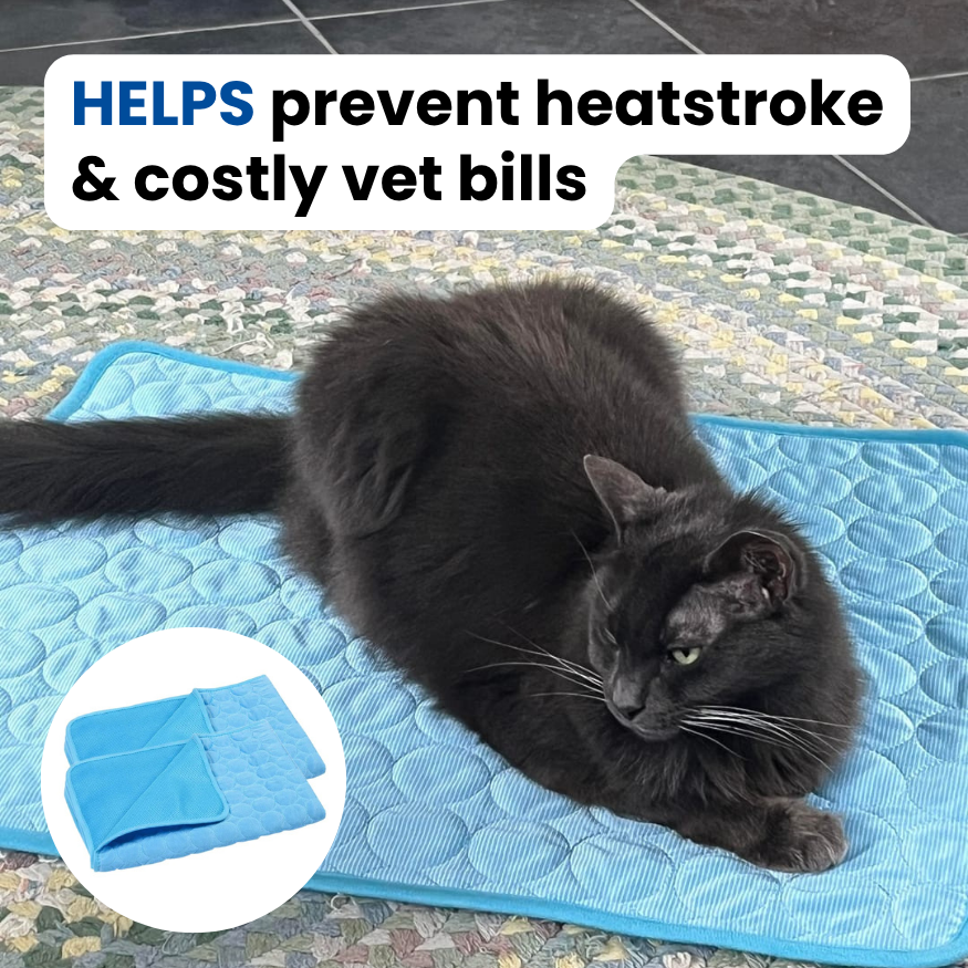 Protect Your Cat From Heatstroke with Doleva™ Cooling Mat