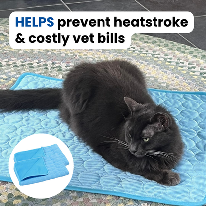 Protect Your Cat From Heatstroke with Doleva™ Cooling Mat