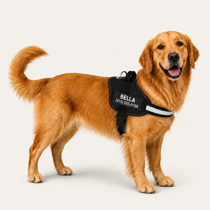 Doleva™ Ergonomic Harness