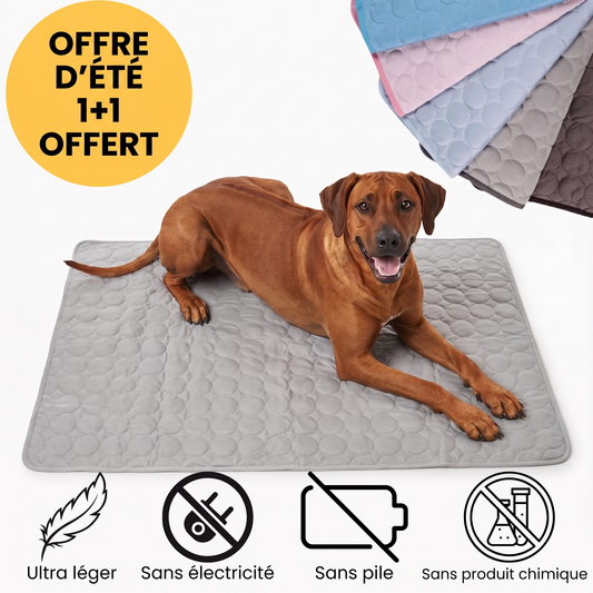 Cooling Mat for Summer