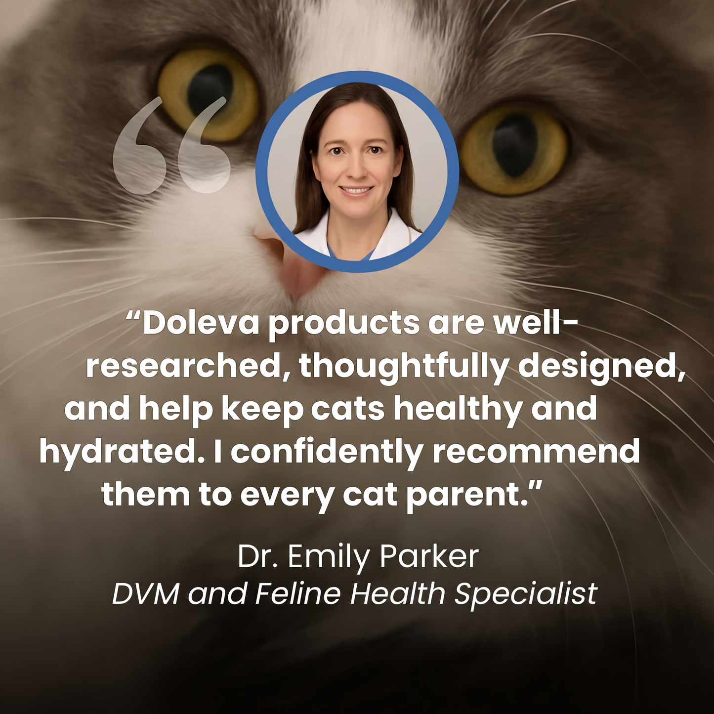 Protect Your Cat From Heatstroke with Doleva™ Cooling Mat