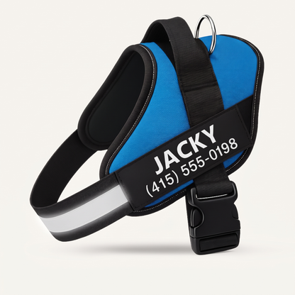 Doleva™ Ergonomic Harness