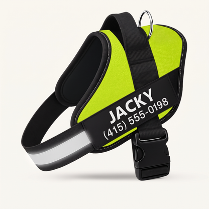 Doleva™ Ergonomic Harness