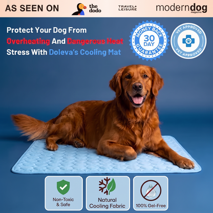 Protect Your Dog From Overheating And Dangerous Heat Stress With Doleva Cooling Mat